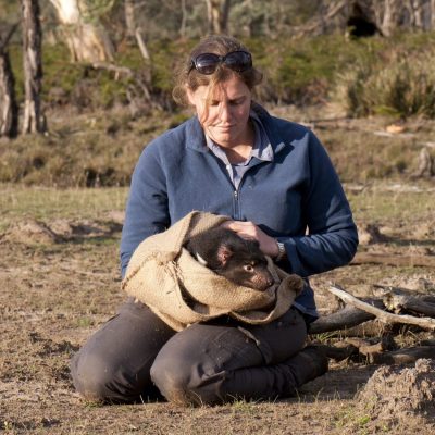 RowenaHamer_Tasmanian Devil - Meadowbank Station 16